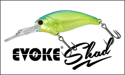 EVOKE SHAD MR - deps