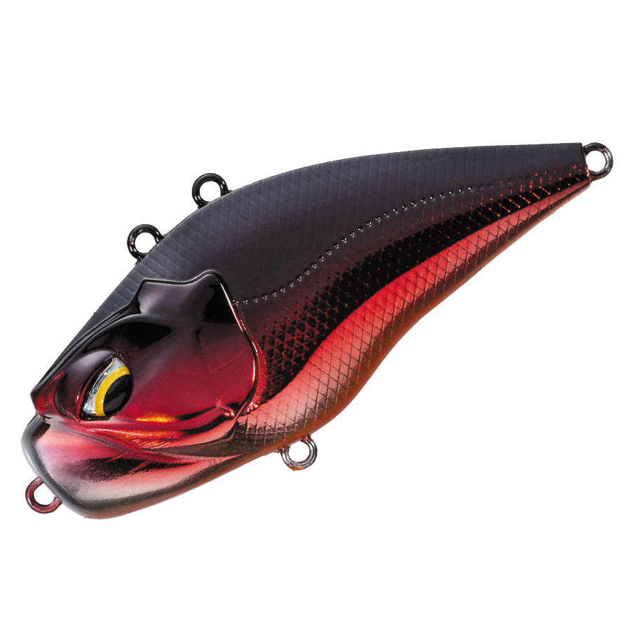 GIGANOTO TG Rattle - Valleyhill