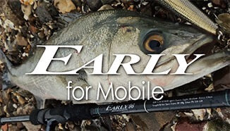 EARLY for Mobile - YAMAGA Blanks