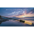 AIM Ajing Limited Edition - ZENITH