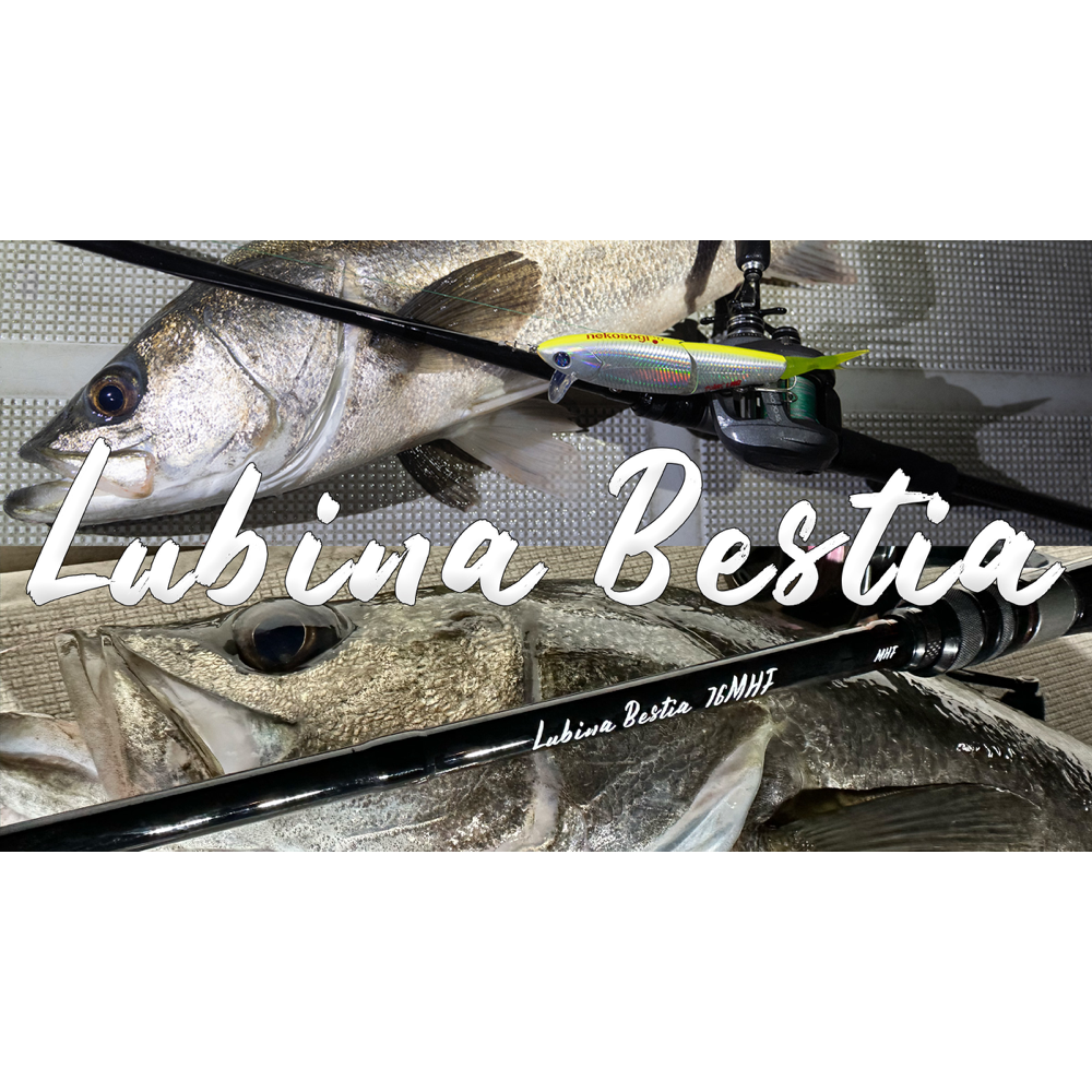 Lubina Bestia - ZENITH