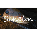 Schelm - ZENITH